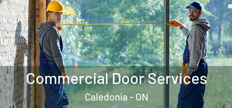 Commercial Door Services Caledonia - ON