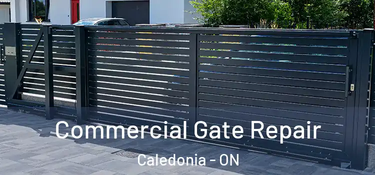 Commercial Gate Repair Caledonia - ON