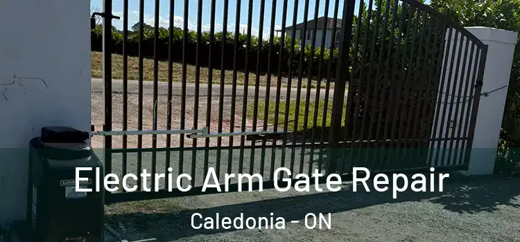 Electric Arm Gate Repair Caledonia - ON
