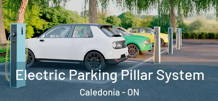 Electric Parking Pillar System Caledonia - ON