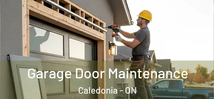 Garage Door Maintenance Caledonia - ON