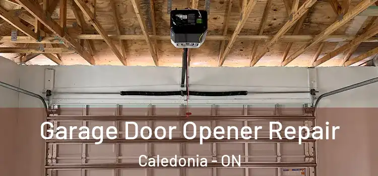  Garage Door Opener Repair Caledonia - ON