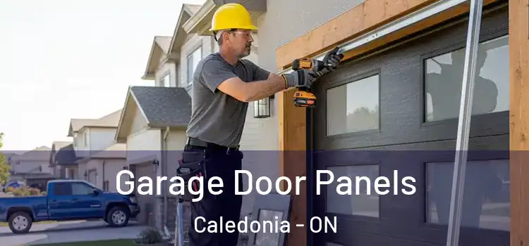  Garage Door Panels Caledonia - ON