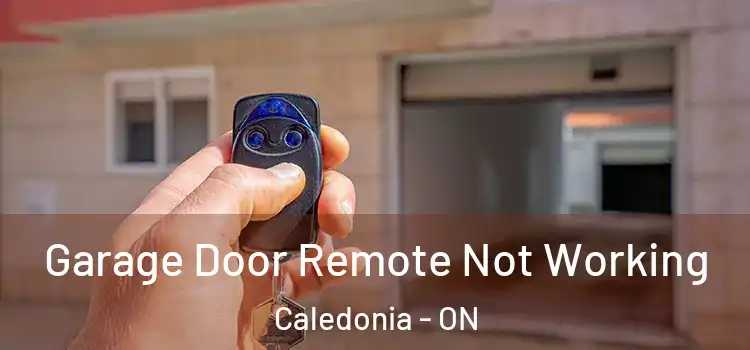  Garage Door Remote Not Working Caledonia - ON