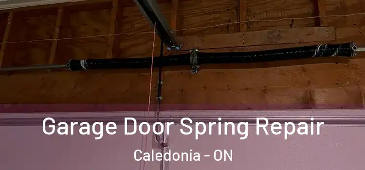  Garage Door Spring Repair Caledonia - ON