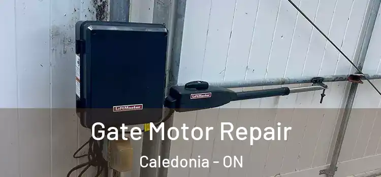 Gate Motor Repair Caledonia - ON