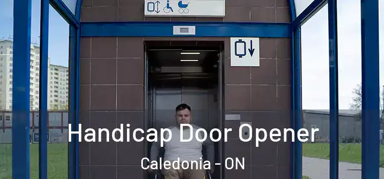 Handicap Door Opener Caledonia - ON