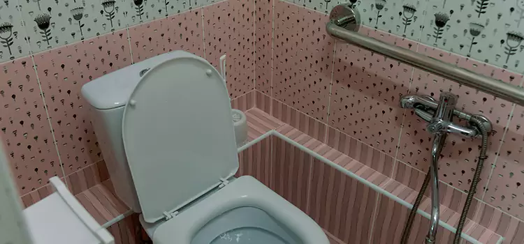 Meeting Diverse Needs With Accessible Restroom Solutions in Caledonia, ON