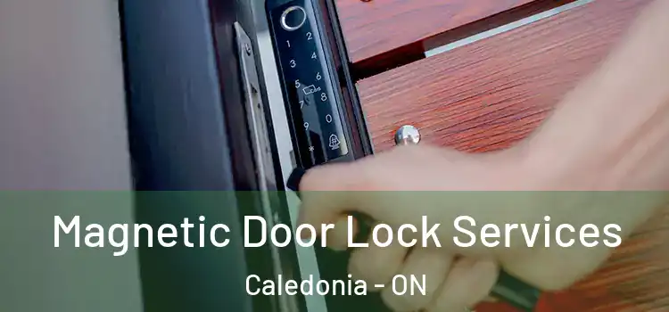 Magnetic Door Lock Services Caledonia - ON