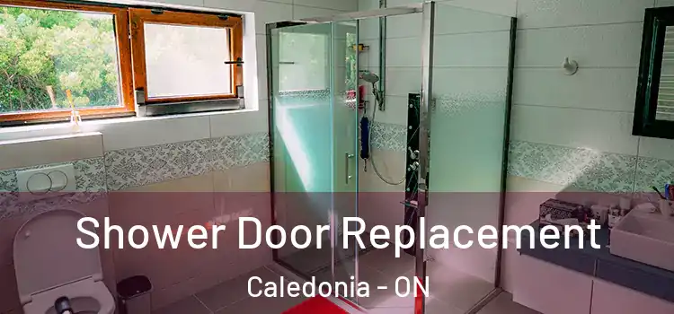 Shower Door Replacement Caledonia - ON