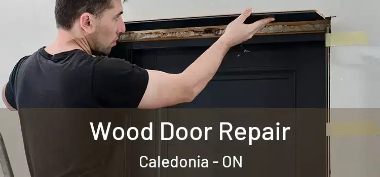 Wood Door Repair Caledonia - ON